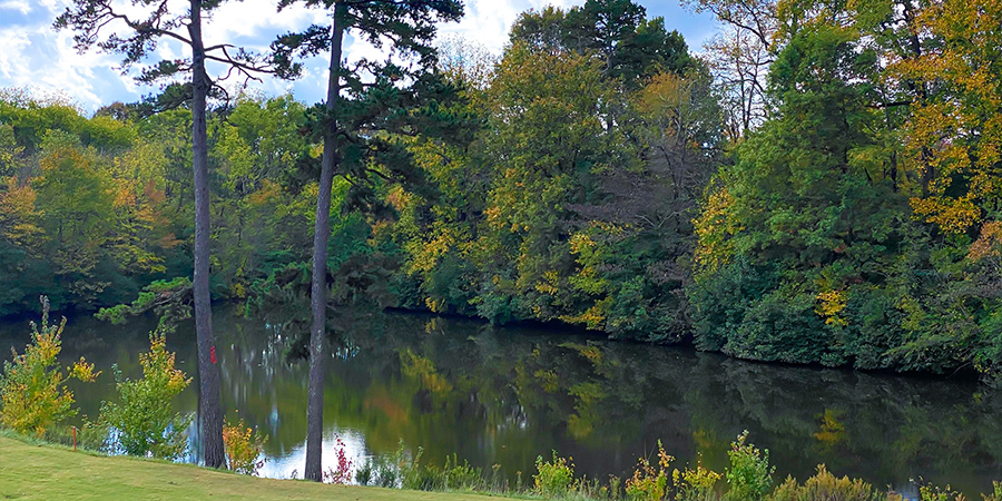 pond