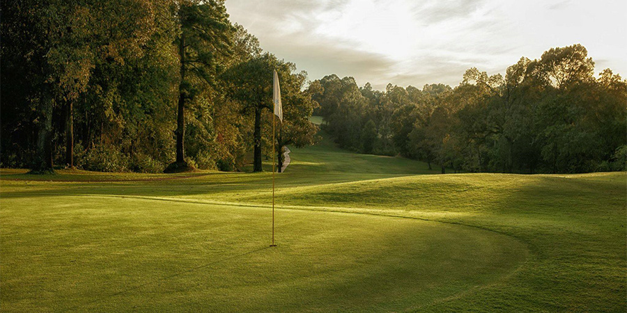 Golf Course, trees
