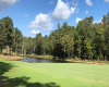 Golf Course, water, trees