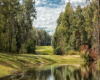 Golf course, water, trees