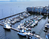 Aerial, Marina, Boats, Water, Buildings