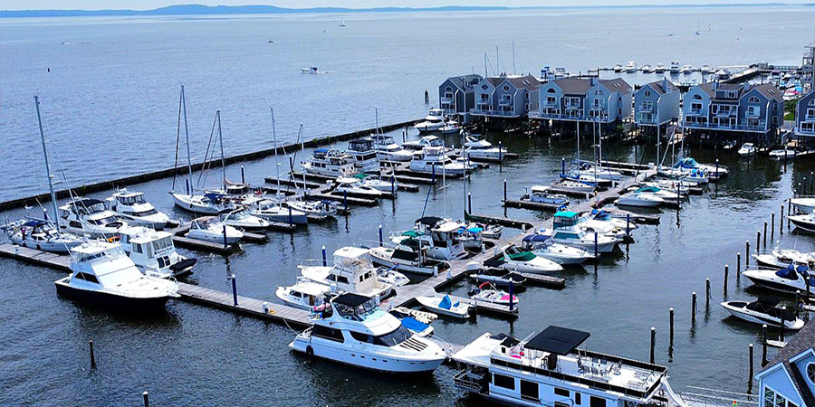 Aerial, Marina, Boats, Water, Buildings