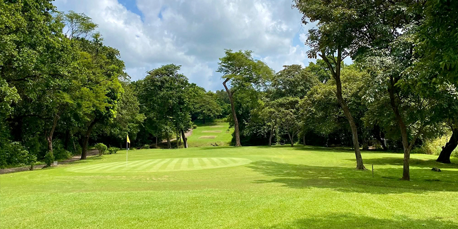 golf course, trees golf course, trees