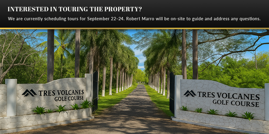 Entrance, palm trees
