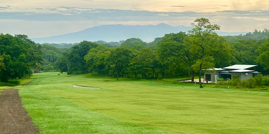 golf course, greens golf course, greens