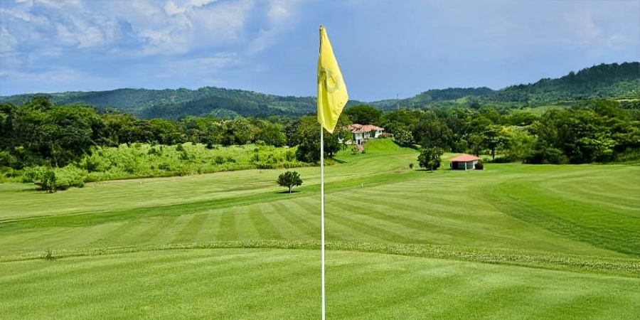 golf course, greens, flag golf course, greens, flag