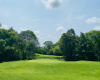 golf course, fairway, flag