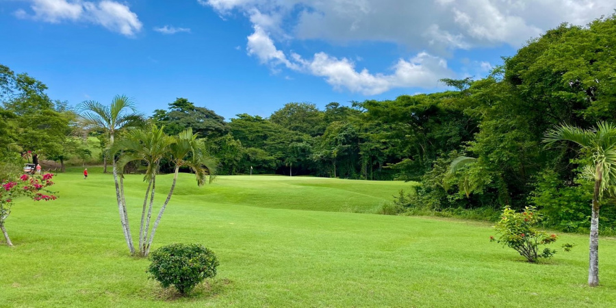 golf course, hole 9
