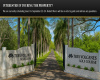 Entrance, palm trees