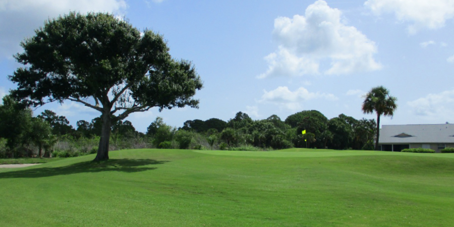 golf course, trees