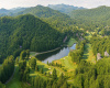 mountains, water, trees