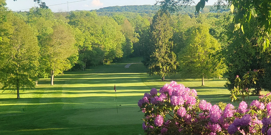 trees, golf course