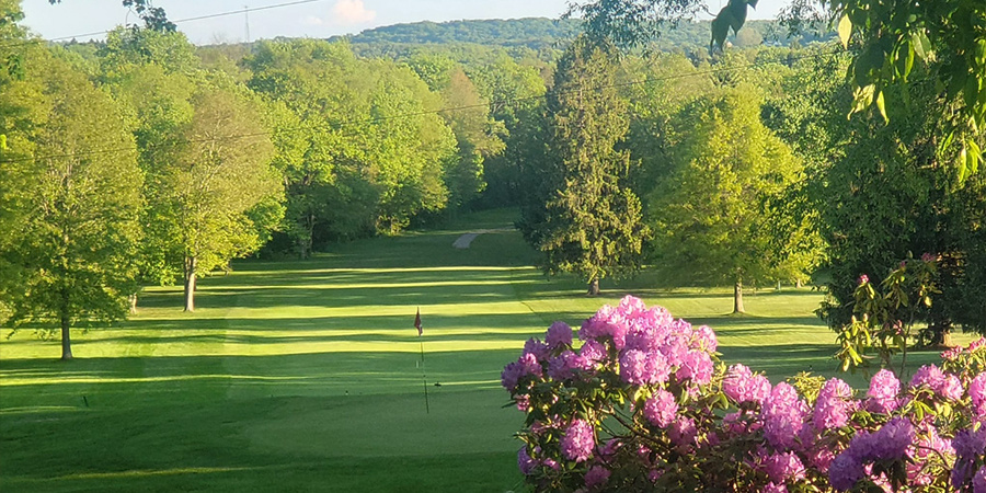 trees, golf course trees, golf course