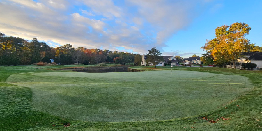 golf course, greens golf course, greens