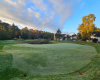 golf course, greens
