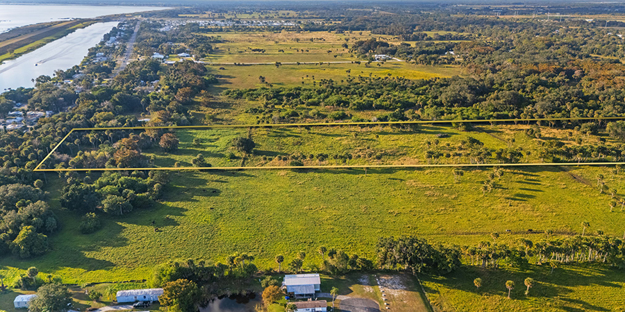 water, trees water, trees