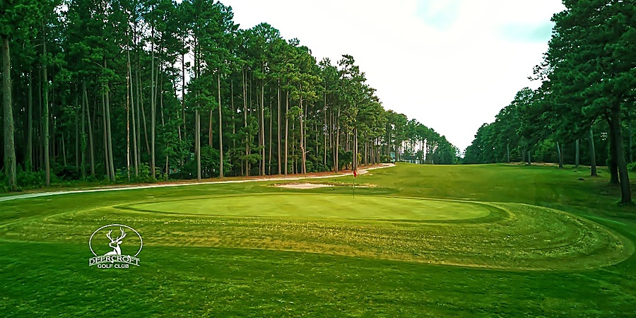 30000 Deercroft Drive, Wagram, North Carolina 28396, ,Golf Course,Available,Deercroft Drive,1262