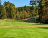 30000 Deercroft Drive, Wagram, North Carolina 28396, ,Golf Course,Available,Deercroft Drive,1262
