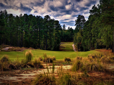 30000 Deercroft Drive, Wagram, North Carolina 28396, ,Golf Course,Available,Deercroft Drive,1262