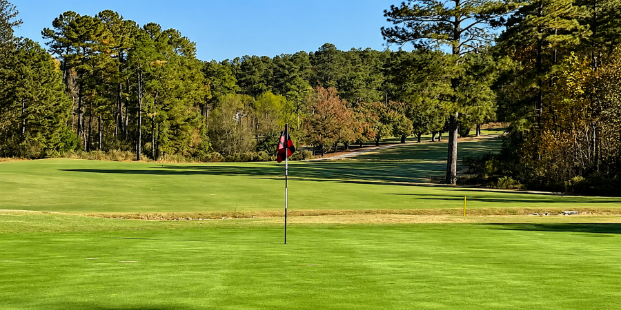 30000 Deercroft Drive, Wagram, North Carolina 28396, ,Golf Course,Available,Deercroft Drive,1262