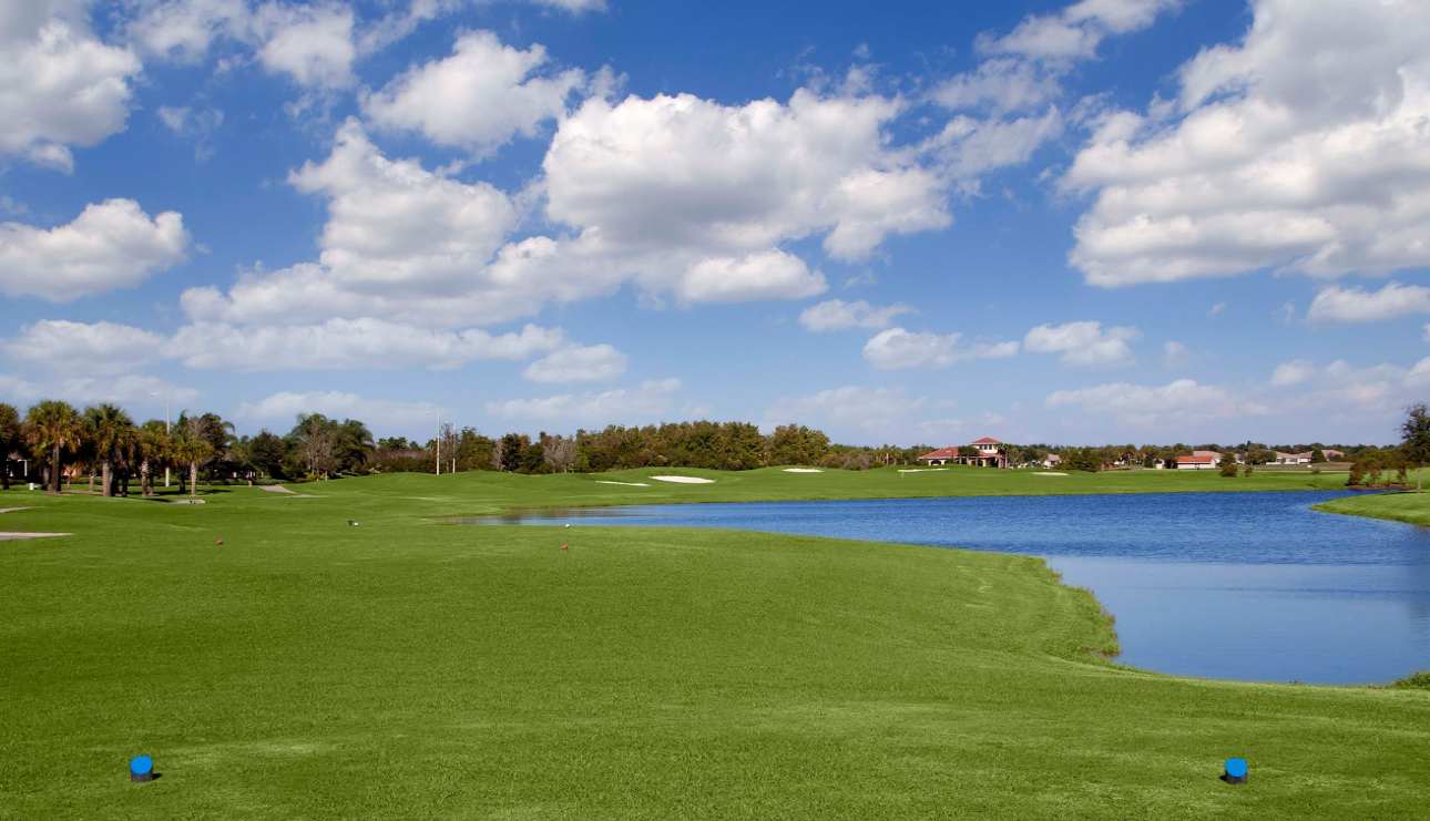 1226 Newport Loop, Florida 33573, ,Golf Course,Sold,Newport Loop,1026
