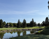 golf course, greens, sky